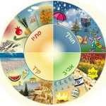 מעגל החגים ועונות השנה היהודי