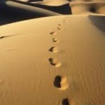 פרשת מסעי, ספר במדבר